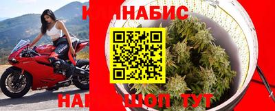 каннабис Будённовск