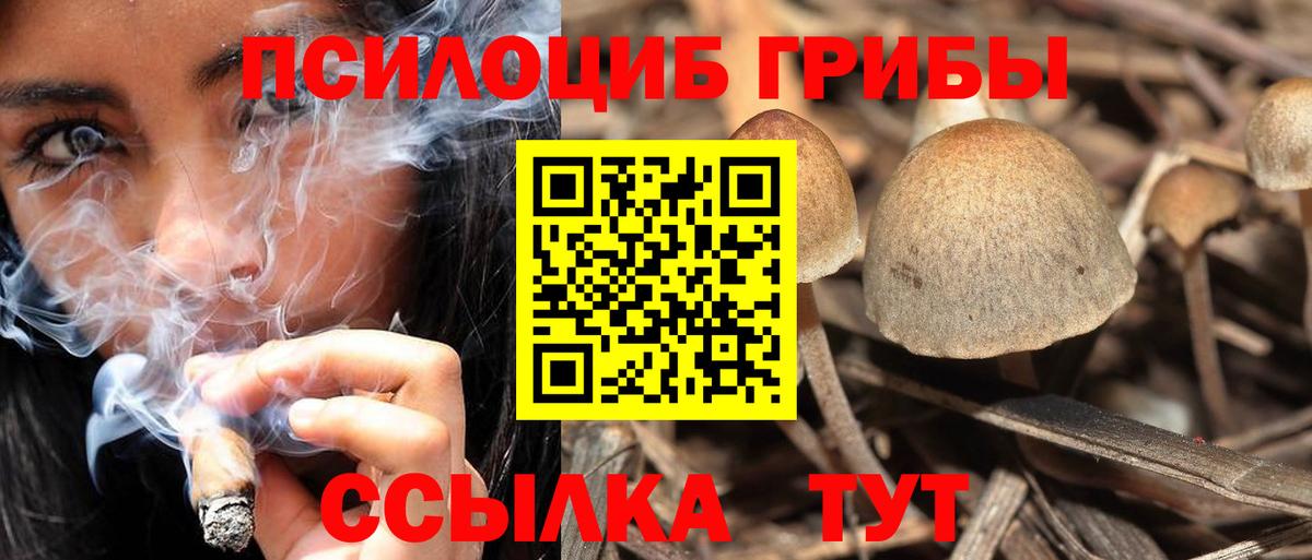 Галлюциногенные грибы мухоморы  Галлюциногенные грибы GOLDEN TEACHER  Вход с VPN  Томск 